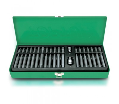 Набір біт 10мм HEX, TORX, SPLINE 40од. GAAD4002